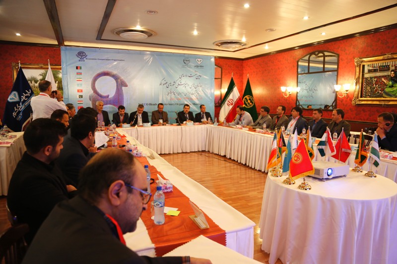 ایران ب...